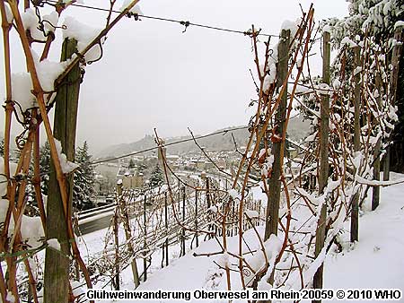Geführte Glühweinwanderung oder Fackelwanderung im Rheingau oder am Mittelrhein mit Weinprobe.