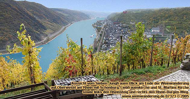 Weinwanderung am Rhein mit Weinprobe oder Weinverkostung im Weinberg in den Weinbaugebieten Rheingau, Mittelrhein, Rheinhessen und Pfalz.