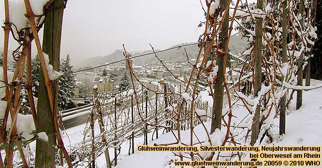 Gefhrte Glhweinwanderung oder Fackelwanderung im Rheingau oder am Mittelrhein mit Weinprobe.